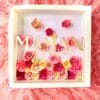 maman fond rose Cadre fleuris fleurs tombantes
